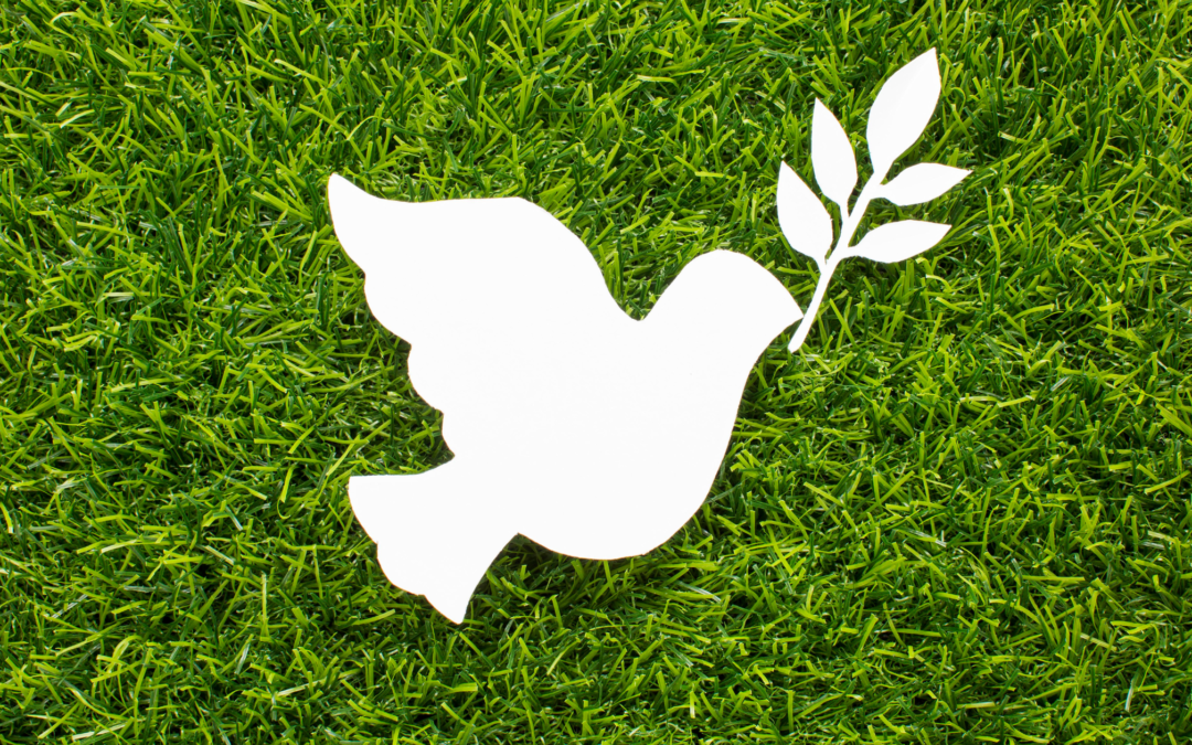 Cómo observar el mundo